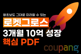 한 달 만에 쿠팡으로 월 300 만들기 매출 터트리는 쿠팡 PDF