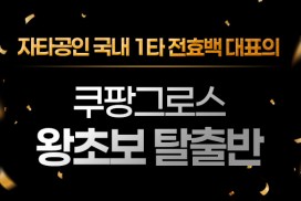 전효백대표님의 쿠팡그로스 왕초보 탈출반